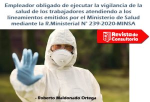 Seguridad salud trabajo revista