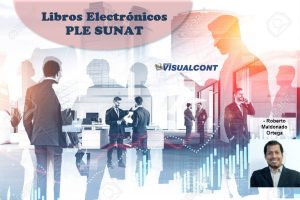 Roberto Maldonado PLE visualcont