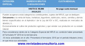 Categorías rus