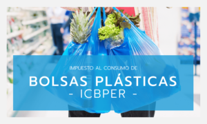 bolsas plasticas blog