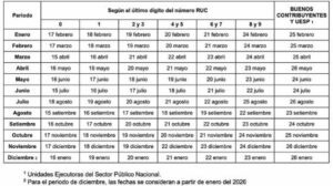 ¡Importante! SUNAT publica cronograma de pagos 2025 2026 | Revista ...