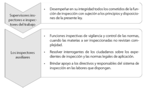 grafico 1
